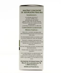 Sapin (Abies alba) bourgeon BIO, 15 ml